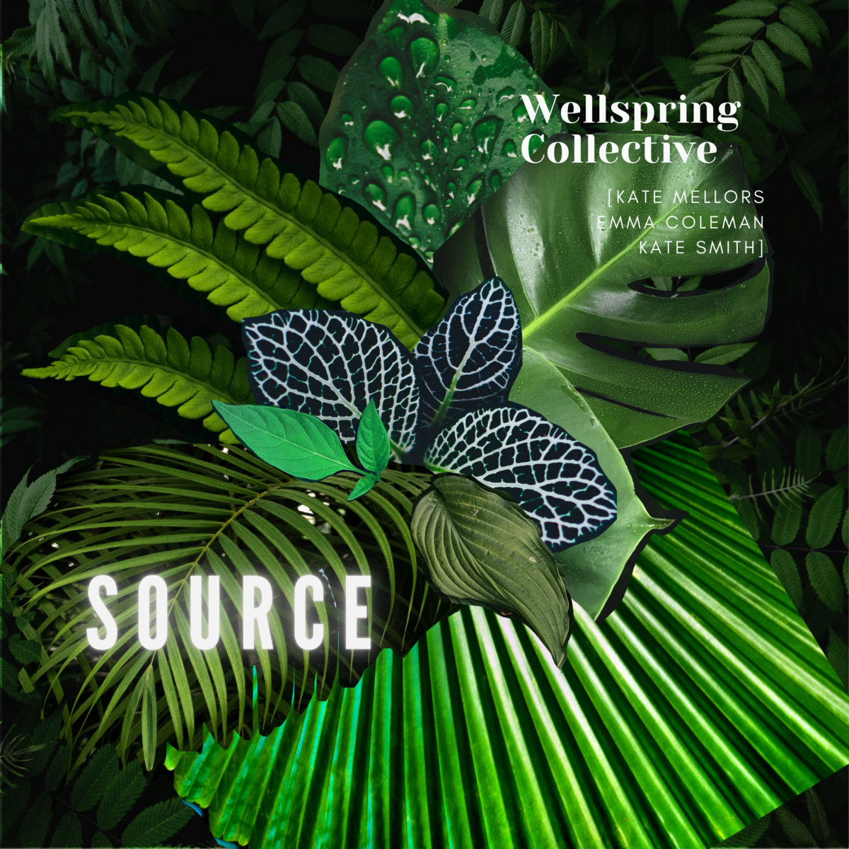 Wellspring Collective: Source