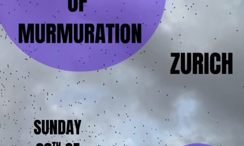 20260920_Exploring-Murmuration-Zurich