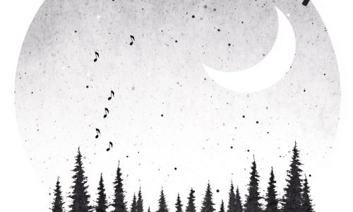 Circle-Music-Week-graphic