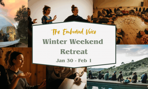 WWR2026_banner-draft-1